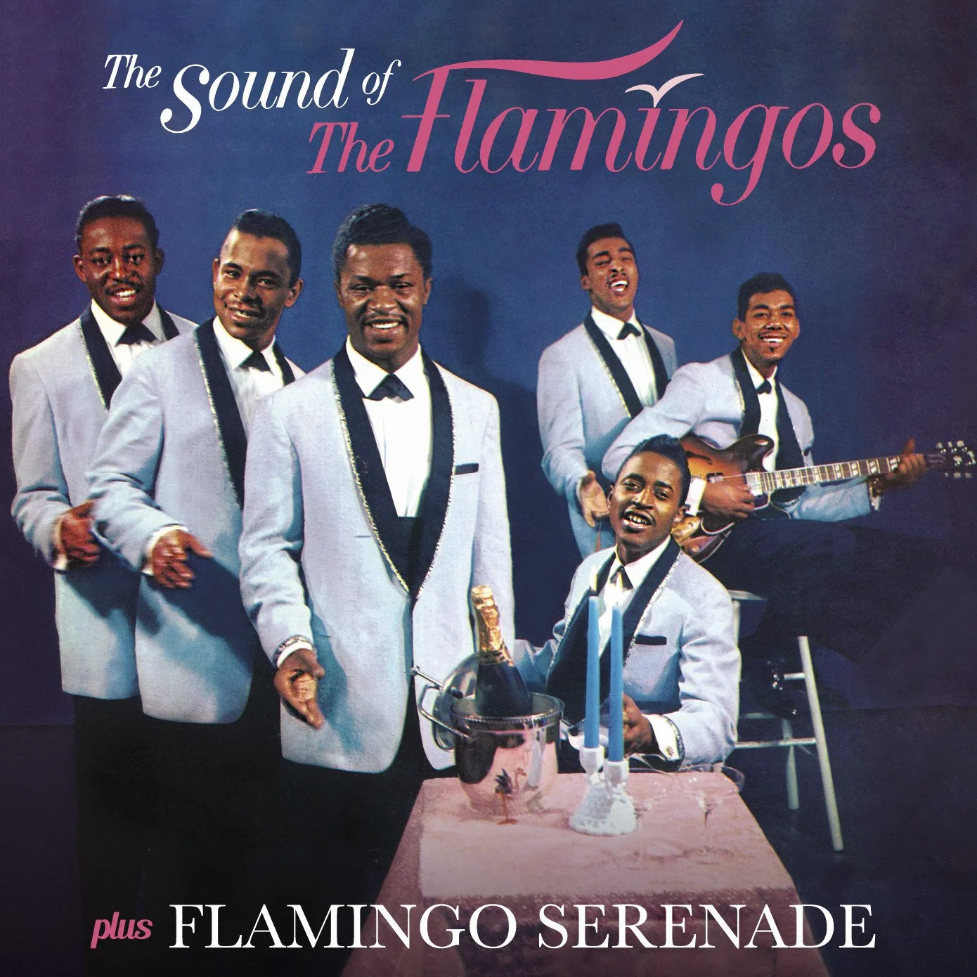 The Sound of + Flamingo Serenade