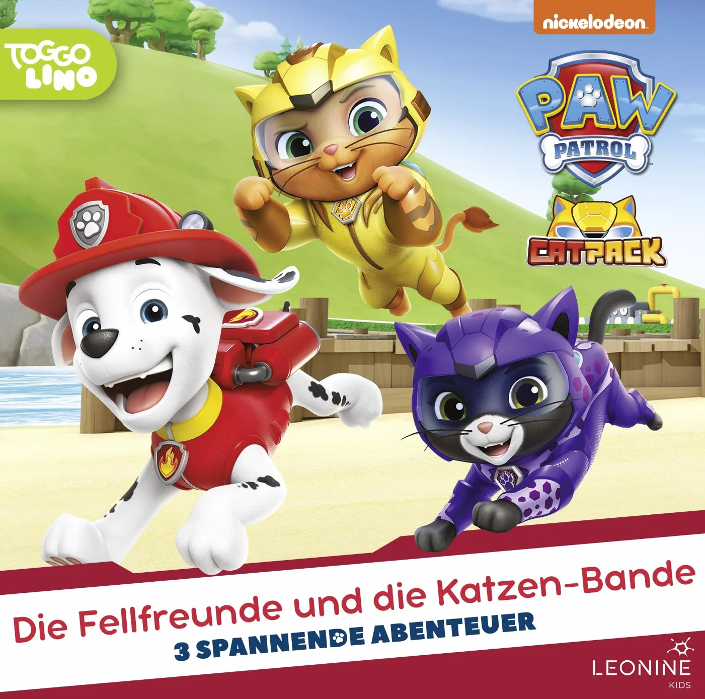 Paw Patrol 5