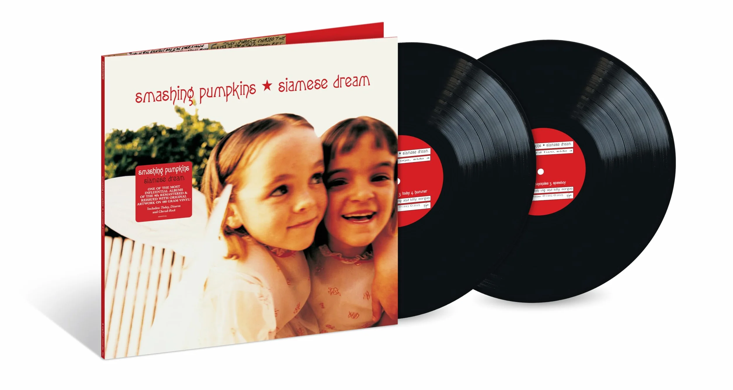 Siamese Dream