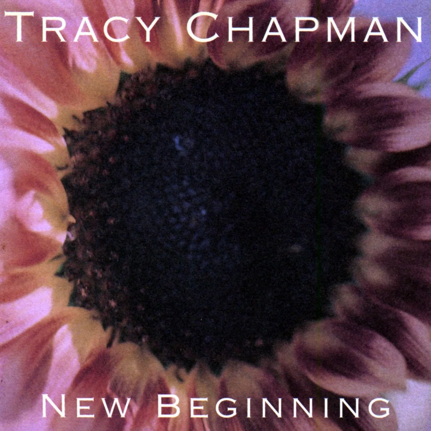 New Beginning
