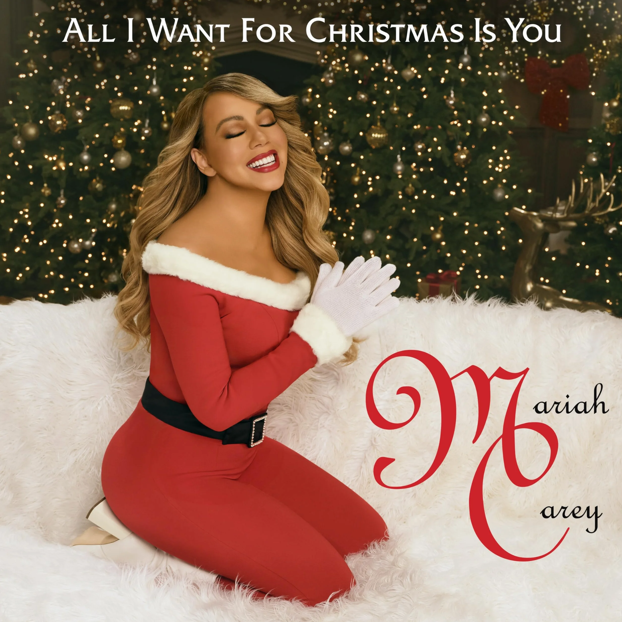 All I Want for Christmas Is You