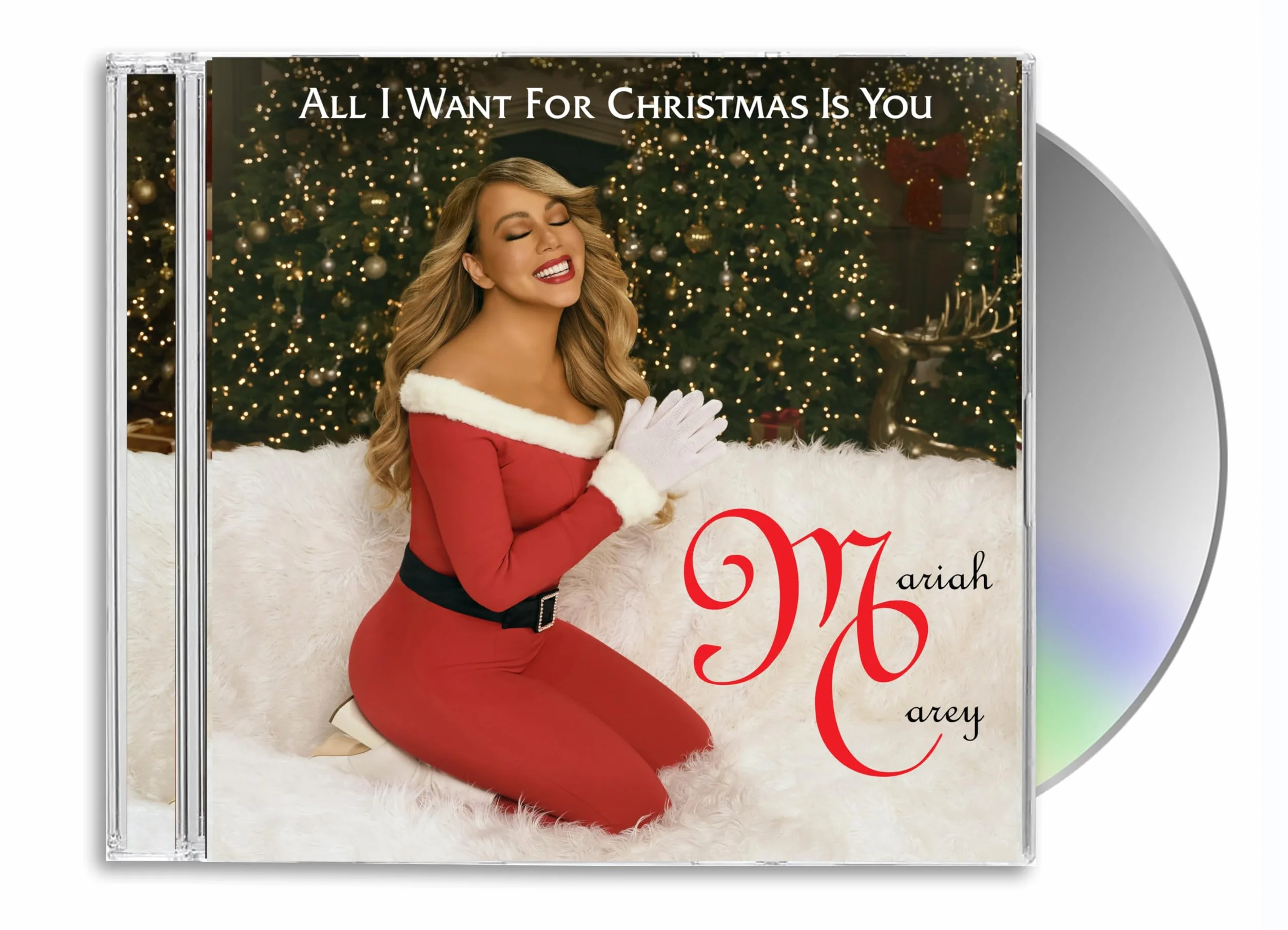 All I Want for Christmas Is You