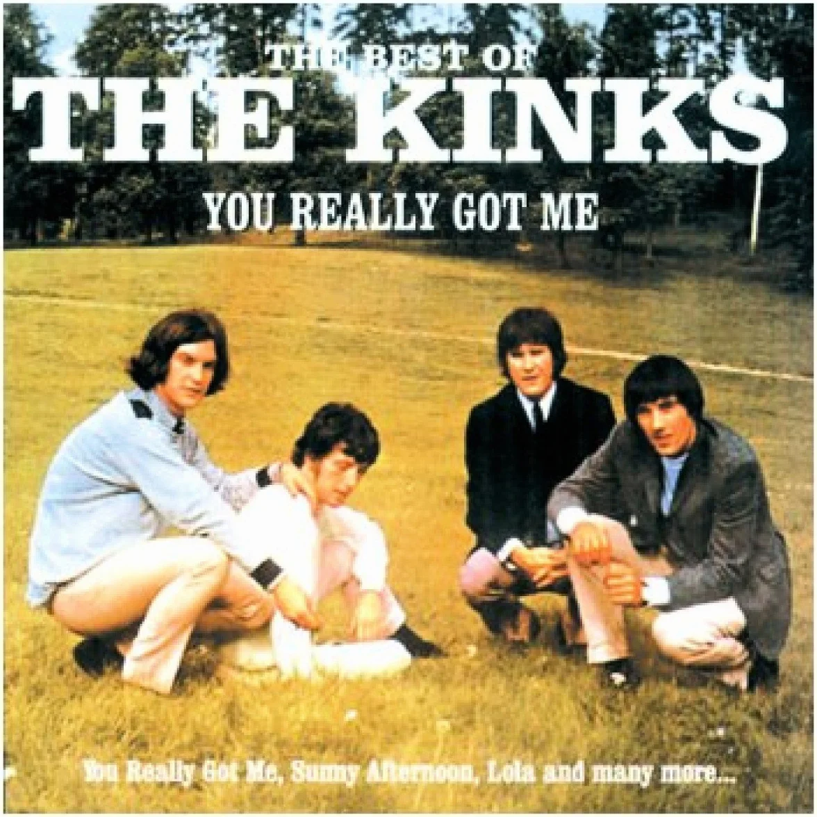 The Kinks You Really Got Me The Best of