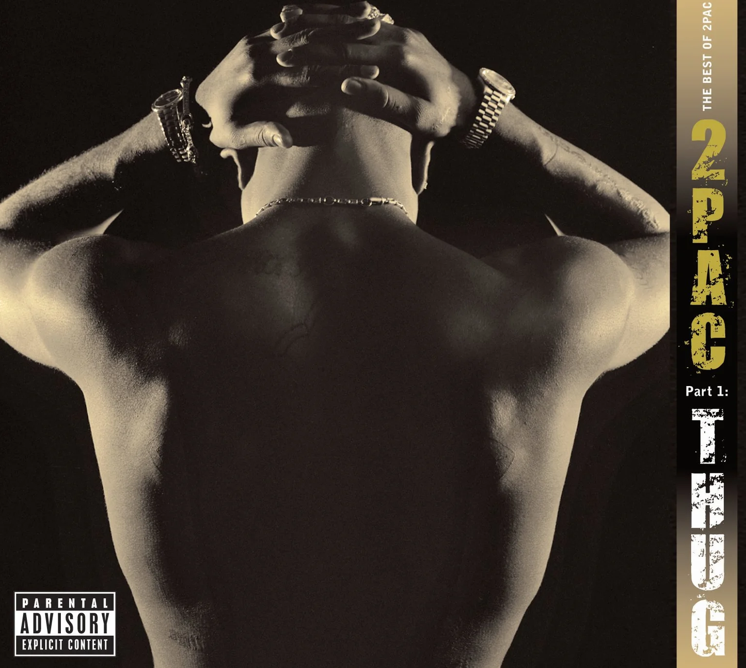 2Pac The Best of Pt. 1 Thug Life Explicit Lyrics