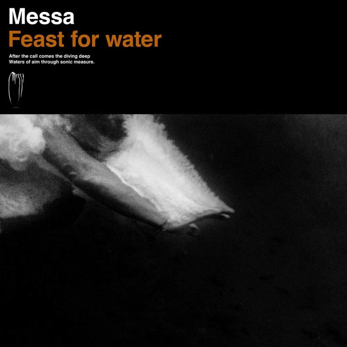 Feast for Water