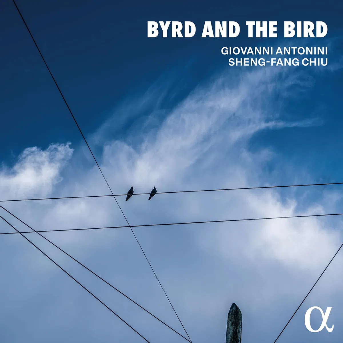 Byrd and the Bird