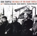 The Walk Of The Giant Turtle